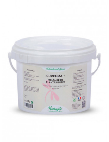 Curcuma + 1kg - Nature Horse Langon