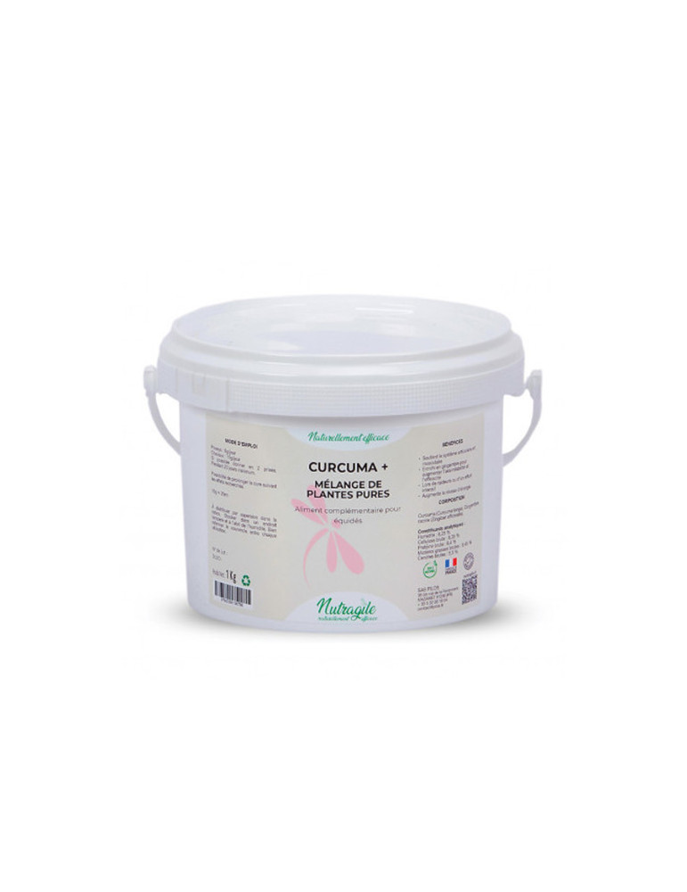 Curcuma + 1kg - Nature Horse Langon