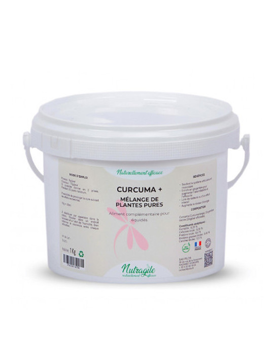 Curcuma + 1kg - Nature Horse Langon