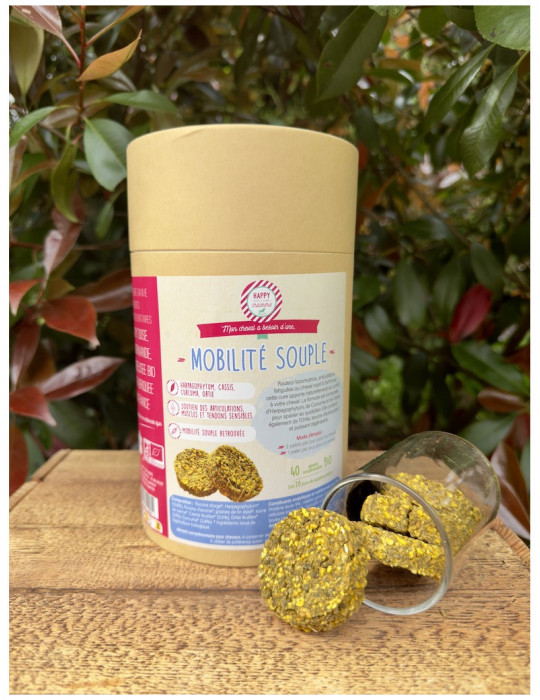 Complements MOBILITE SOUPLE 40 Palets - 500 gr - Nature Horse Langon
