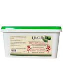 Ortie Piquante 1.6L - Nature Horse Langon