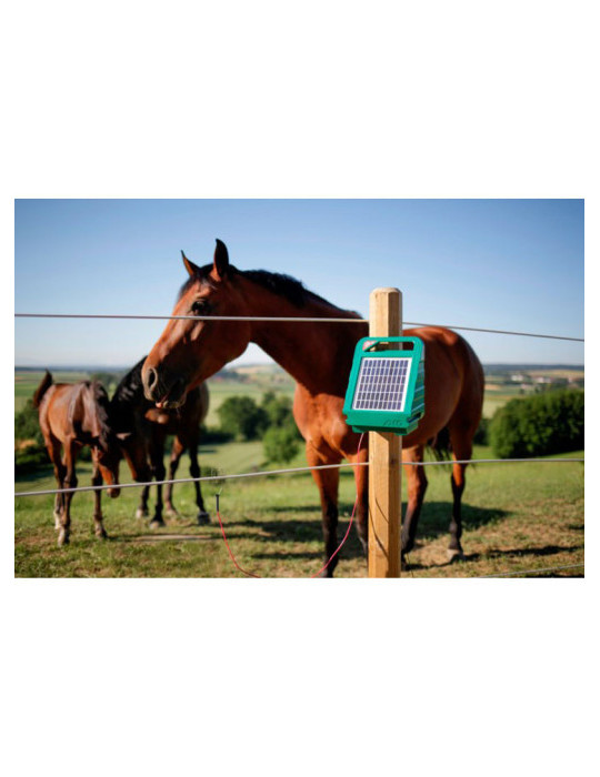 Electrificateur Sun Power S250 - Nature Horse Langon
