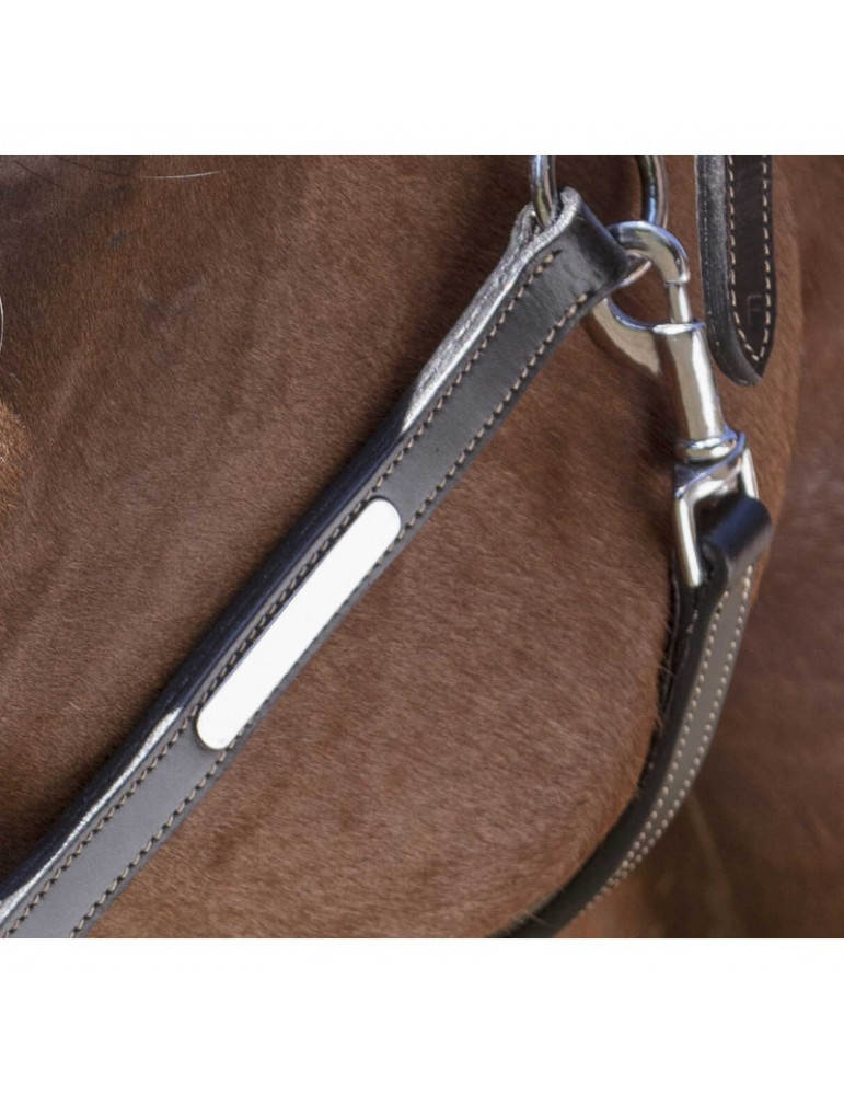 Licol cuir Norton PRO marron FULL - Nature Horse