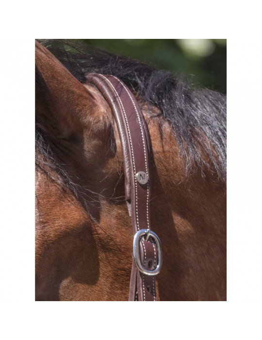 Licol cuir Norton PRO marron FULL - Nature Horse