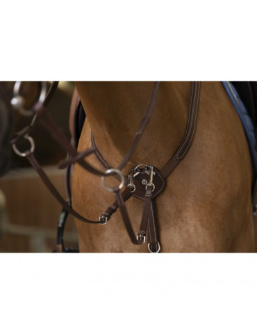 Collier de chasse marron taille cheval norton - Nature Horse Langon
