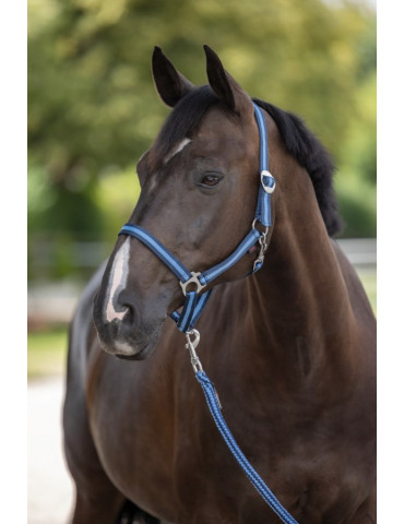 LICOL PONY
