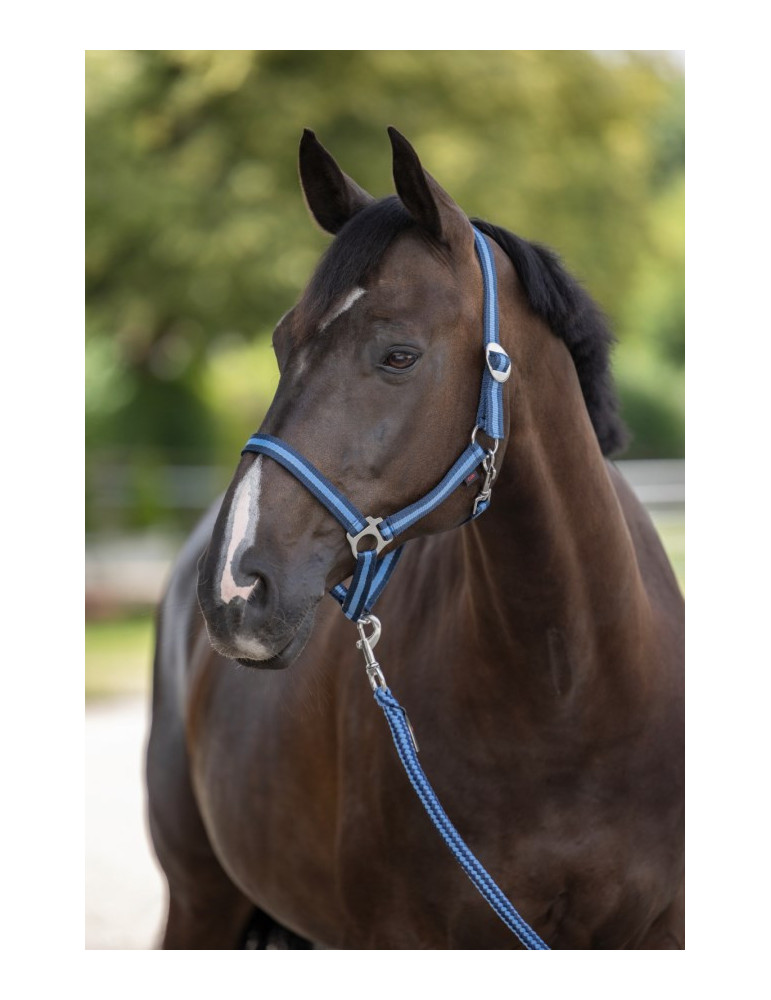 LICOL PONY