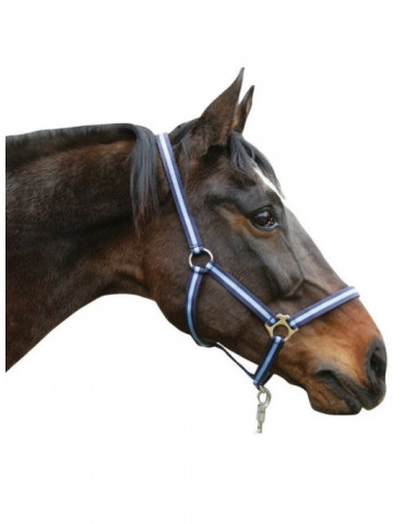 LICOL PONY 2