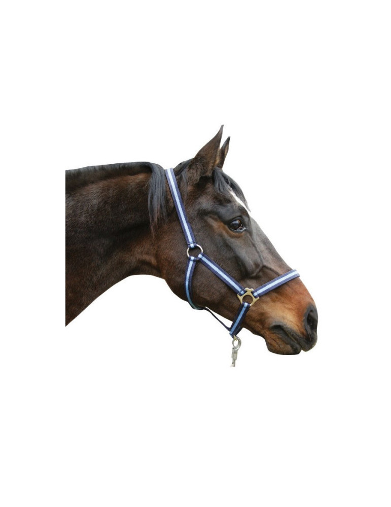 LICOL PONY