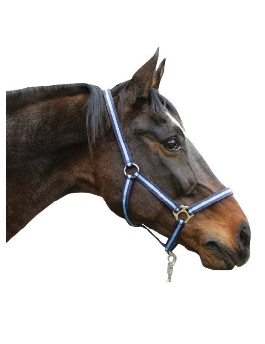 LICOL PONY