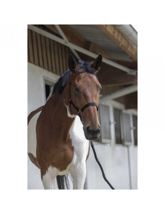 Licol plus longe noir riding world taille full