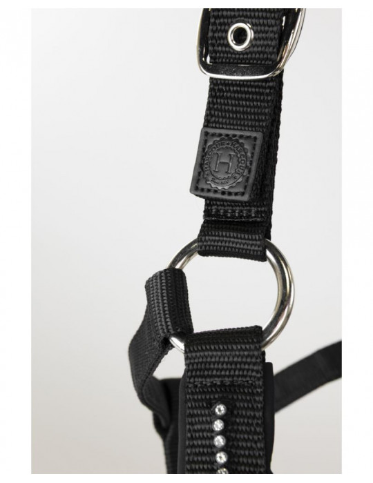 Licol + Longe amour Noir cob