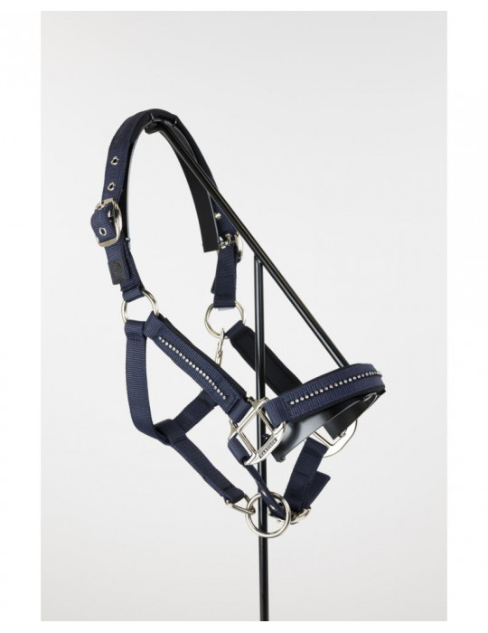 Licol + Longe amour Navy cob
