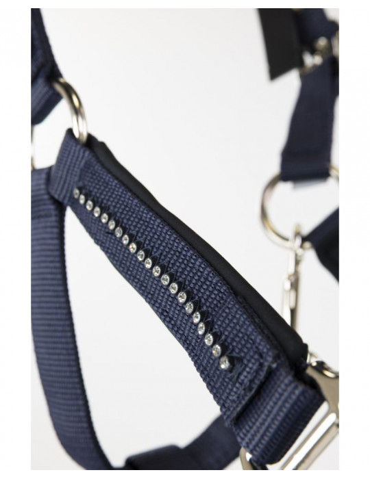Licol + Longe amour Navy cob