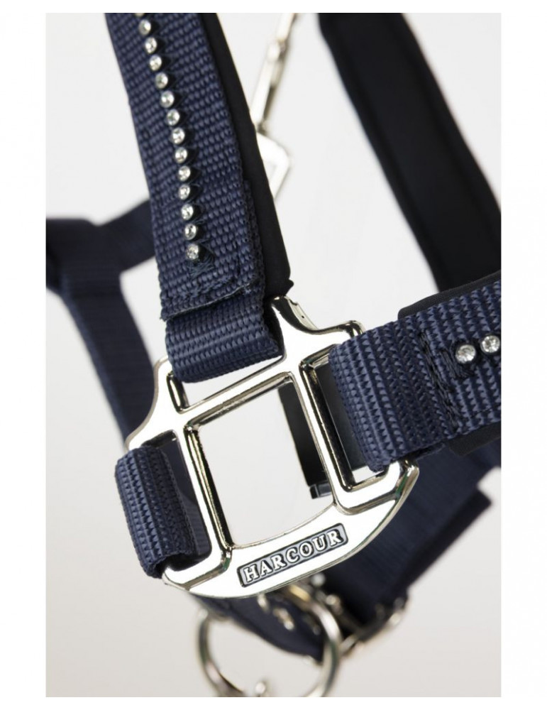 Licol + Longe amour Navy cob