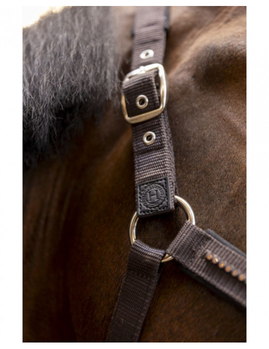 Licol + Longe amour Cacao Cheval