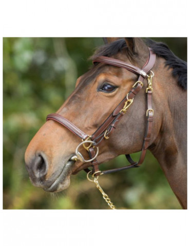 COMBO BRIDLE/HALTER - BLACK - COB - Nature Horse Langon