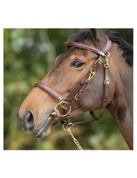 COMBO BRIDLE/HALTER - BLACK - COB - Nature Horse Langon