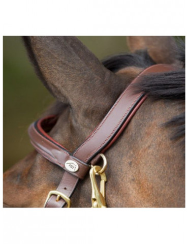 COMBO BRIDLE/HALTER - BLACK - COB - Nature Horse Langon 2