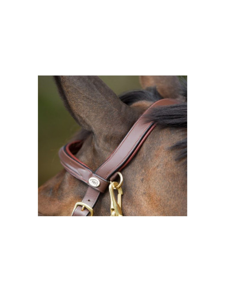 COMBO BRIDLE/HALTER - BLACK - COB - Nature Horse Langon