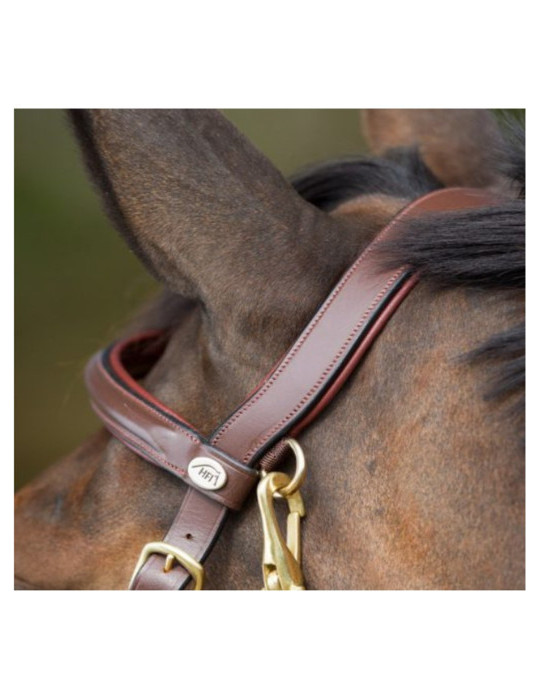 COMBO BRIDLE/HALTER - BLACK - COB - Nature Horse Langon