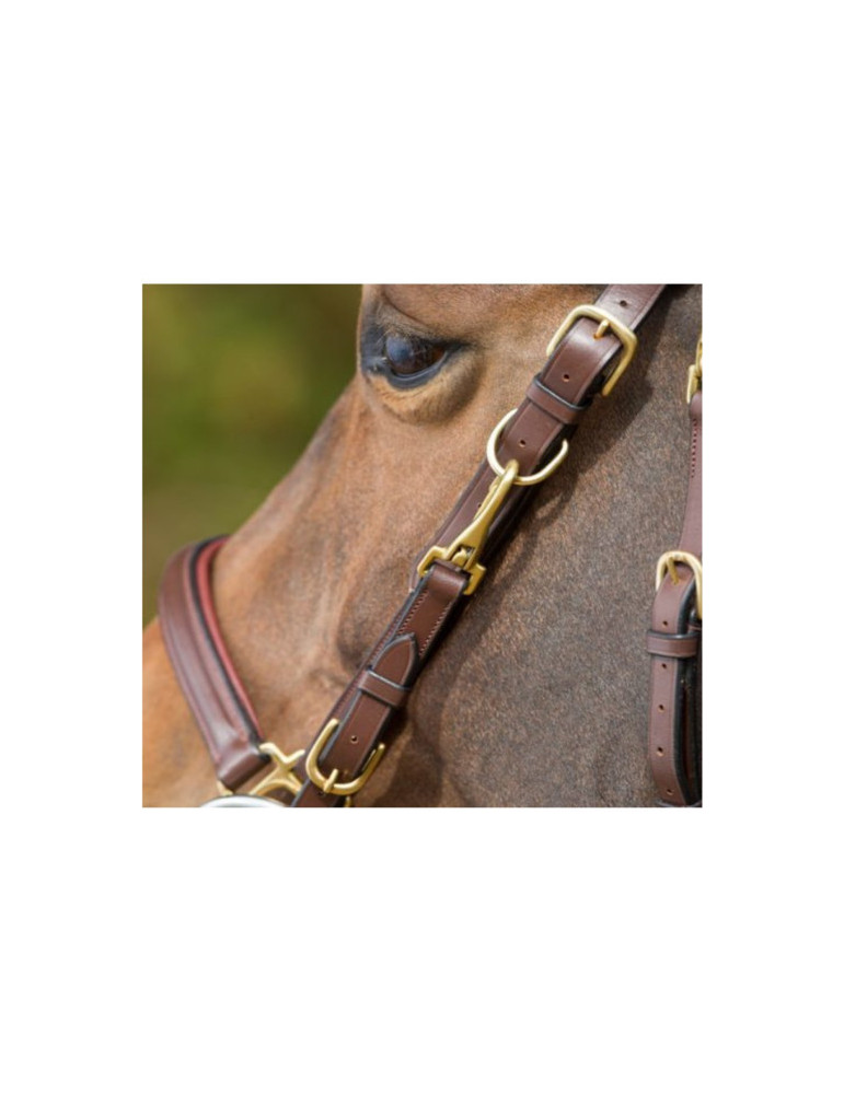 COMBO BRIDLE/HALTER - BLACK - COB - Nature Horse Langon