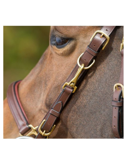 COMBO BRIDLE/HALTER - BLACK - COB - Nature Horse Langon