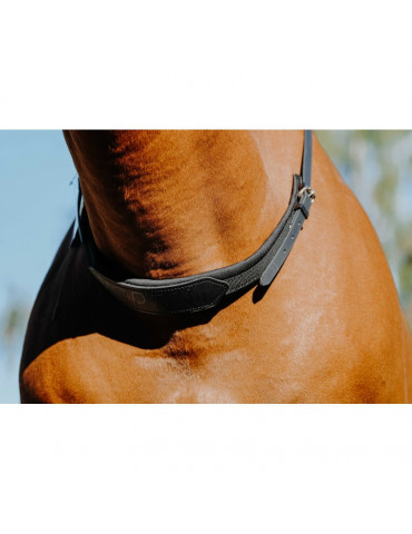 Collier monte à cru noir - Nature Horse Langon 2