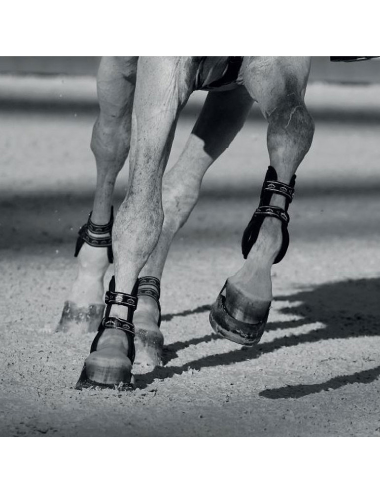 CARBON GEL VENTO Front Brown M - Nature Horse Langon