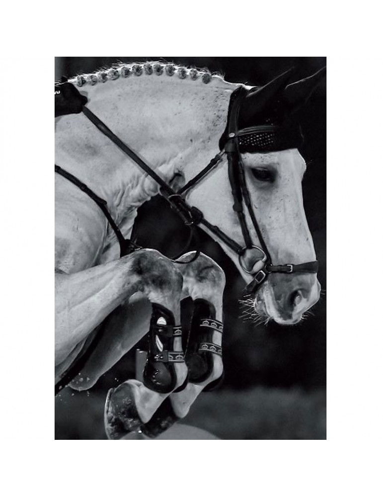 CARBON GEL VENTO Front Brown M - Nature Horse Langon