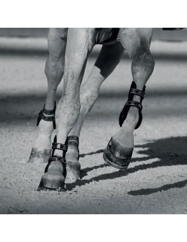 CARBON GEL VENTO Front Brown L - Nature Horse Langon 2