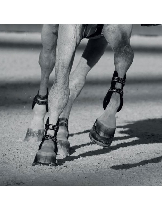 CARBON GEL VENTO Front Brown L - Nature Horse Langon