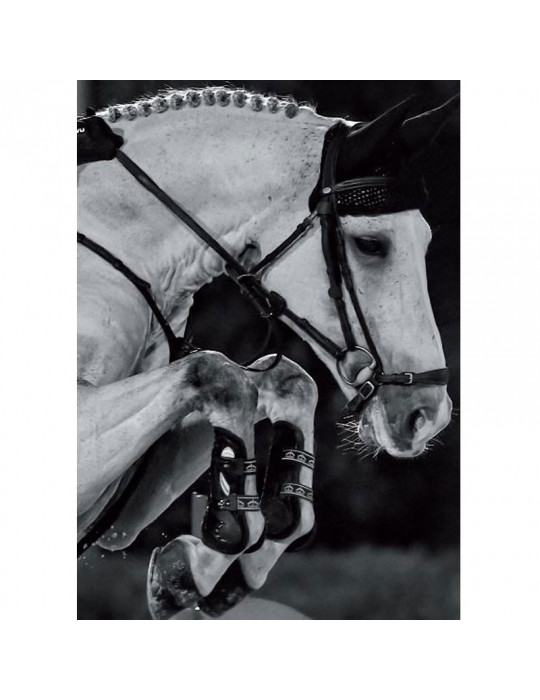 CARBON GEL VENTO Front Brown L - Nature Horse Langon