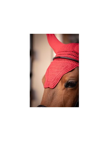 Bonnet Prems paddock Rouge COB - Nature Horse Langon 2