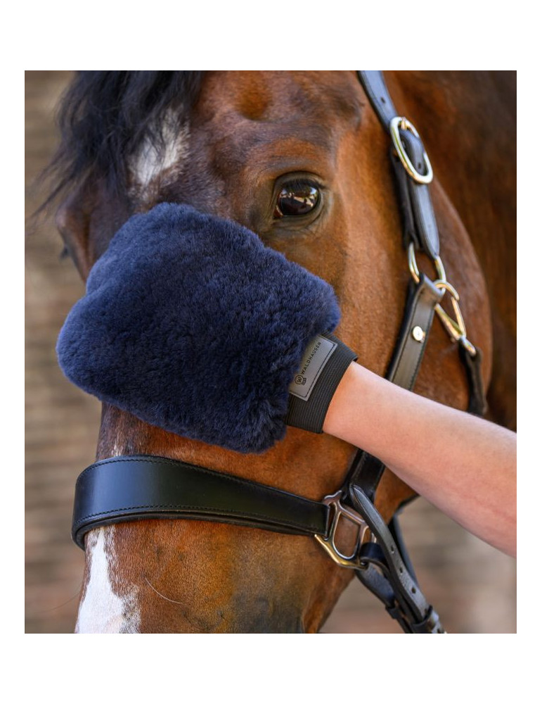 Gant de pansage Lucky Bleu nocturne