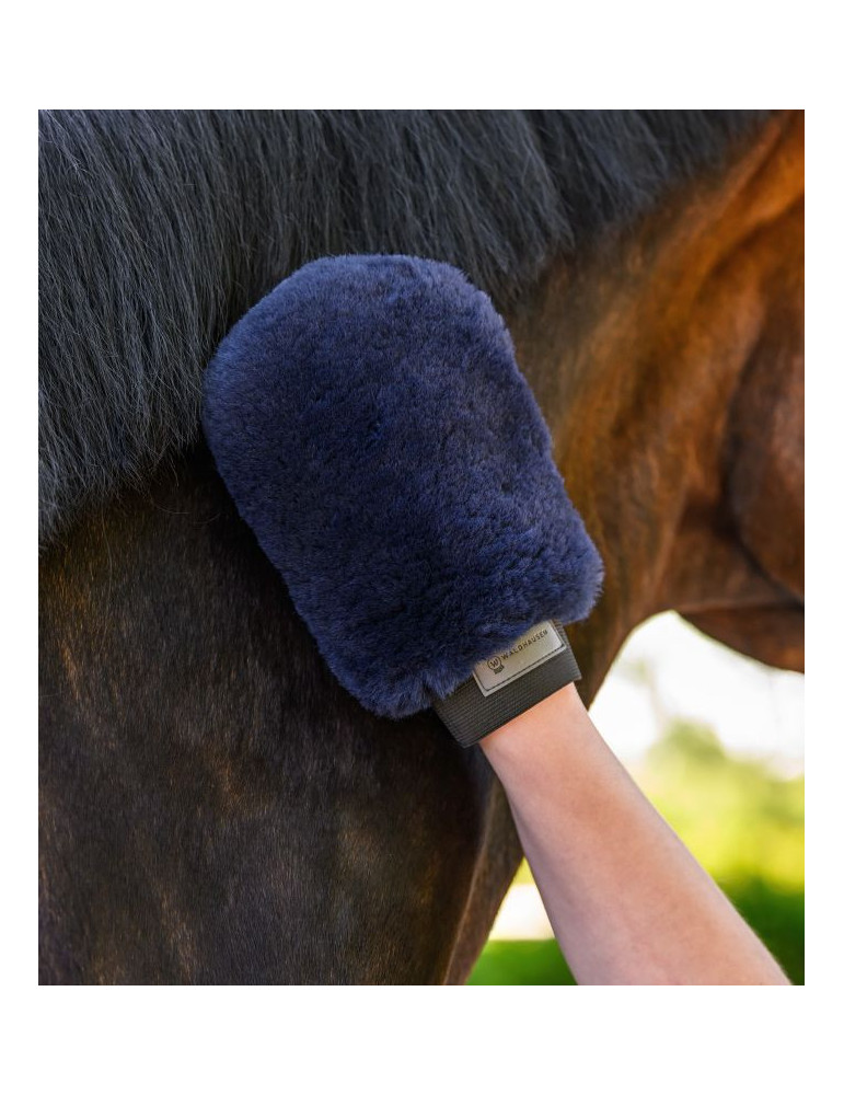 Gant de pansage Lucky Bleu nocturne