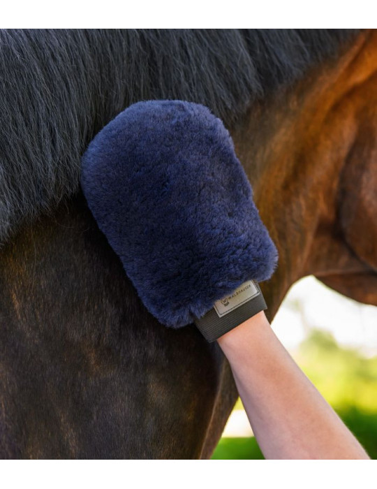 Gant de pansage Lucky Bleu nocturne