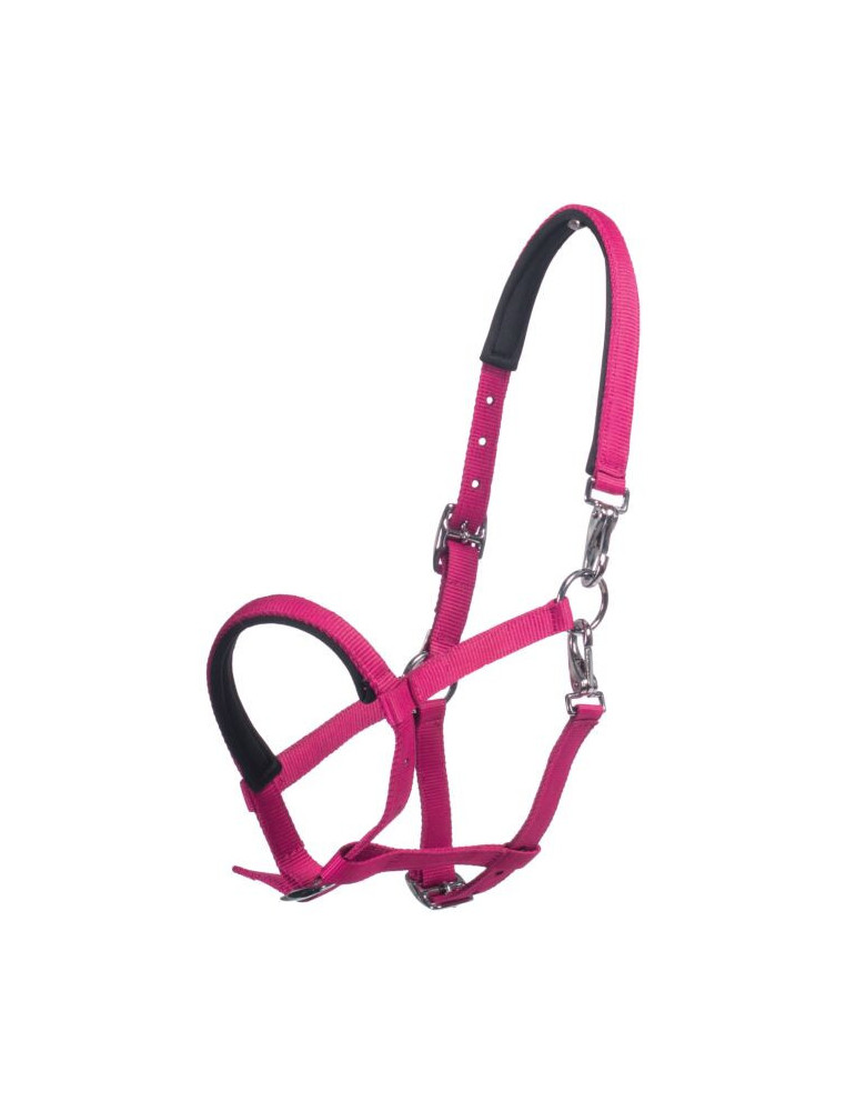 Licol poulain MILLIE rose