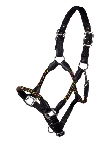 Licol NeonFlash noir COB