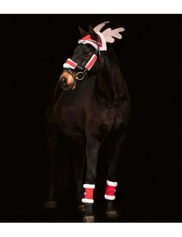 Set de Noel pour chevaux