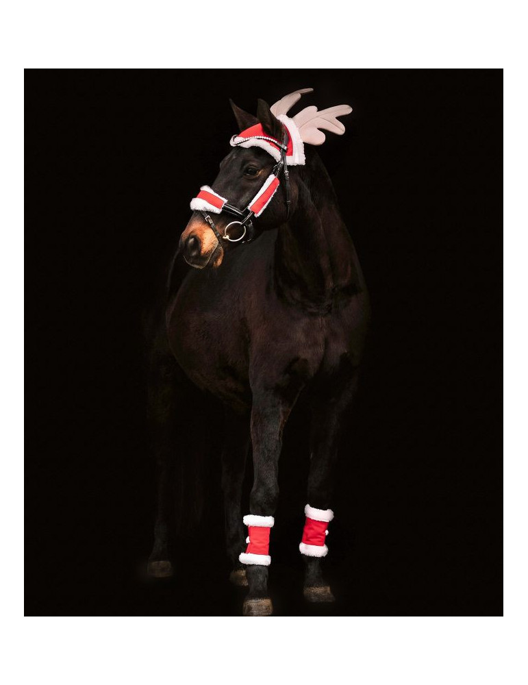 Set de Noel pour chevaux