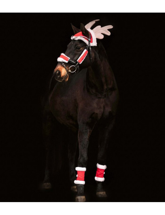 Set de Noel pour chevaux