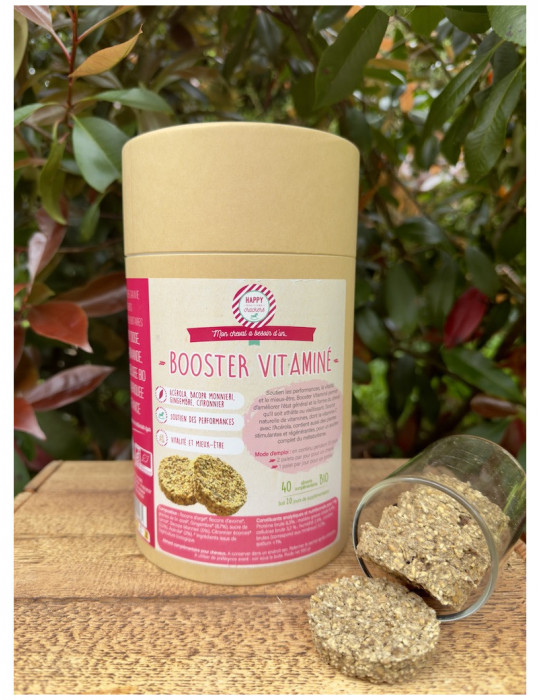 Complements VITAMINES 40 Palets - 560 gr - Nature Horse Langon