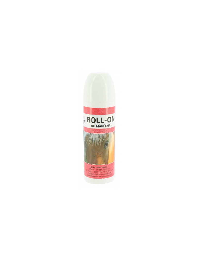 ODM stop insects roll-on 100ml - Nature Horse Langon