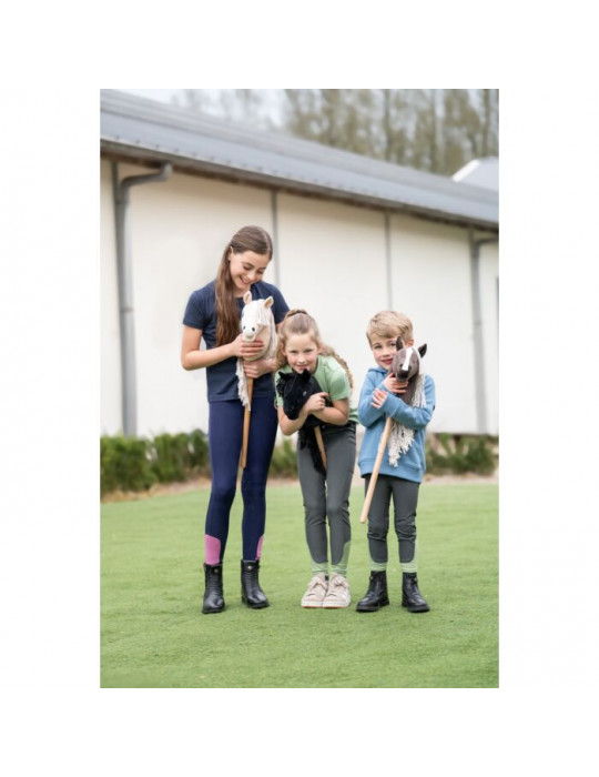Hobby horse marron foncé