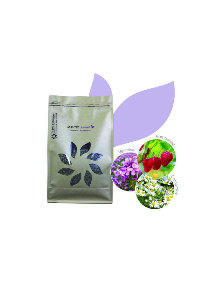 Phyto Jument 1kg - Complement Plantes Jument - Nature Horse
