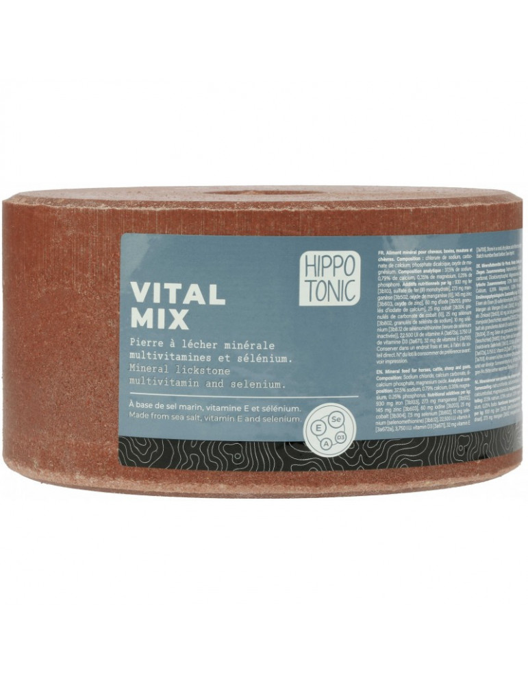 Pierre à sel Vitalmix 3kg