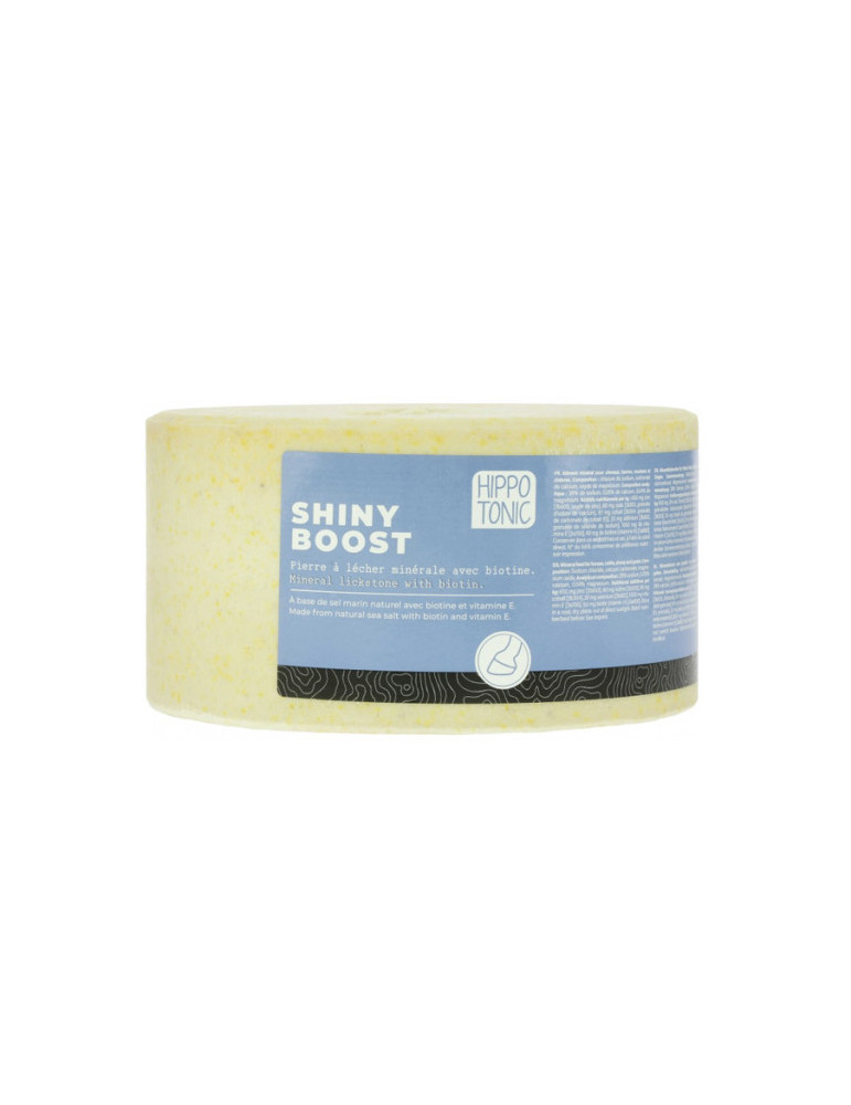 Pierre à sel Shiny Boost 3kg