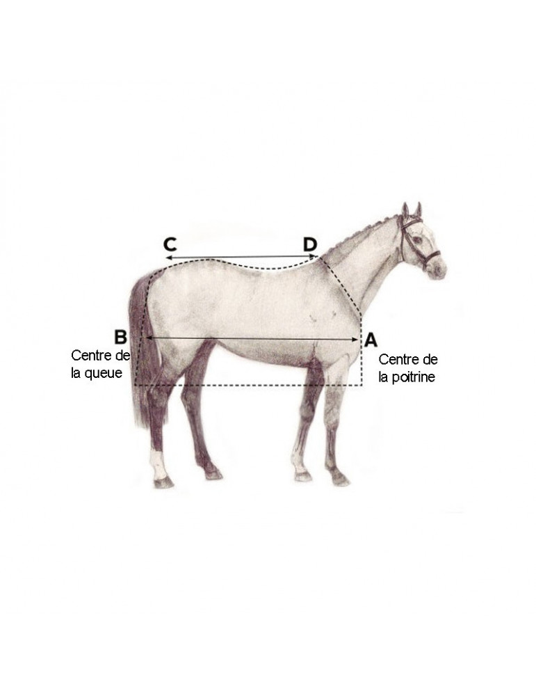 Liner 200g 6'0/130cm - Nature Horse