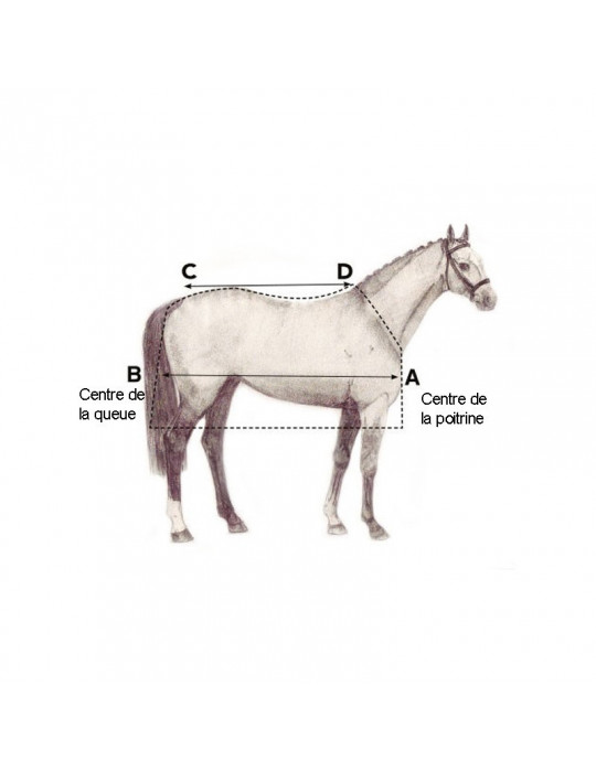 Liner 200g 6'0/130cm - Nature Horse